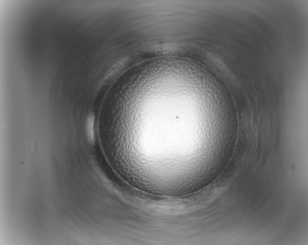 X0000067340024200604031011