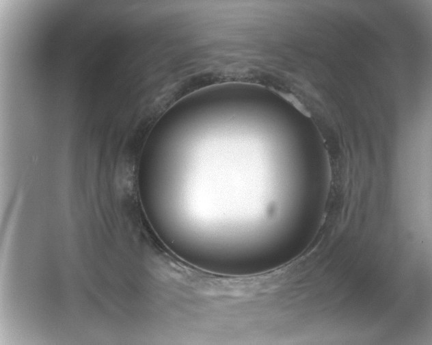 X0000067340033200604031011