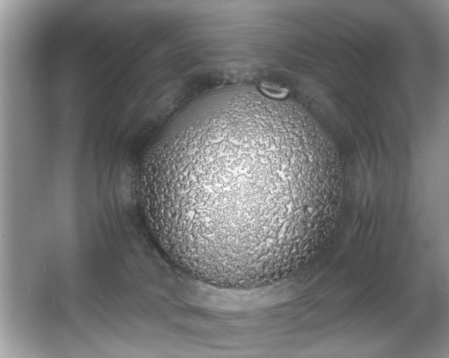 X0000067340034200604031011