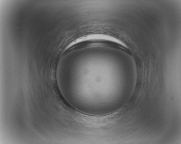 X0000067340035200604031011