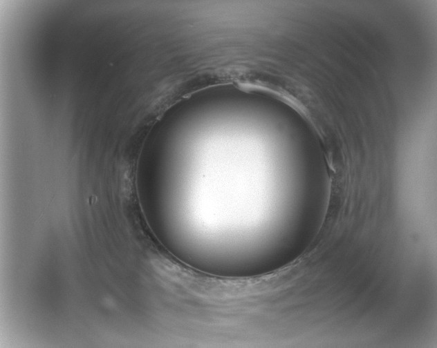 X0000067340037200604031011