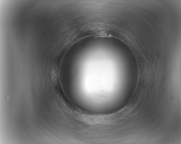 X0000067340040200604031010