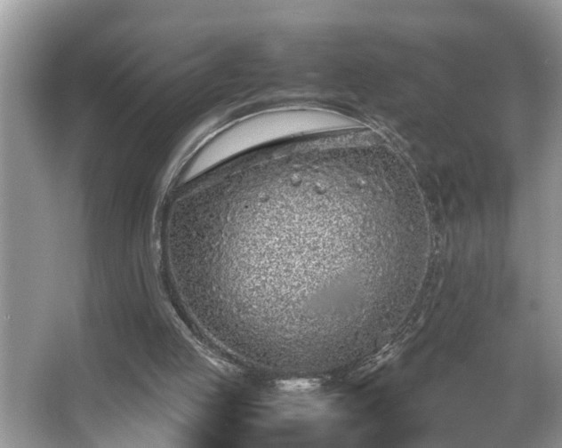 X0000067340053200604031010