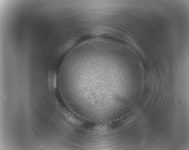 X0000067340076200604031010