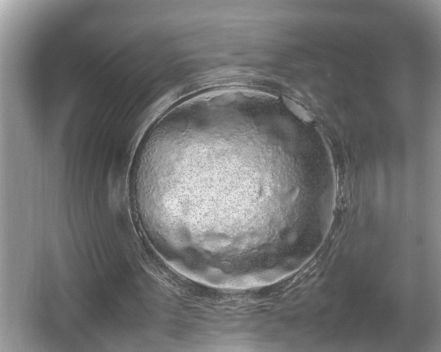 X0000067340099200604031010