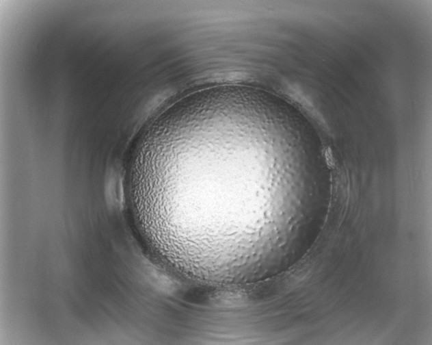 X0000067340110200604031009