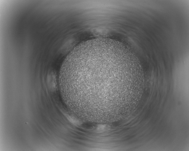 X0000067340130200604031009