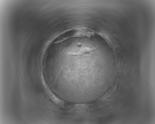 X0000067340145200604031008