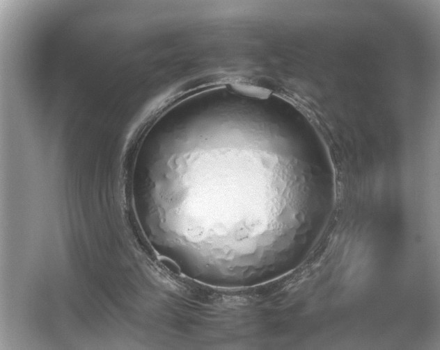 X0000067340149200604031008