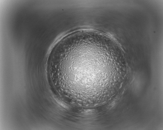 X0000067340151200604031008
