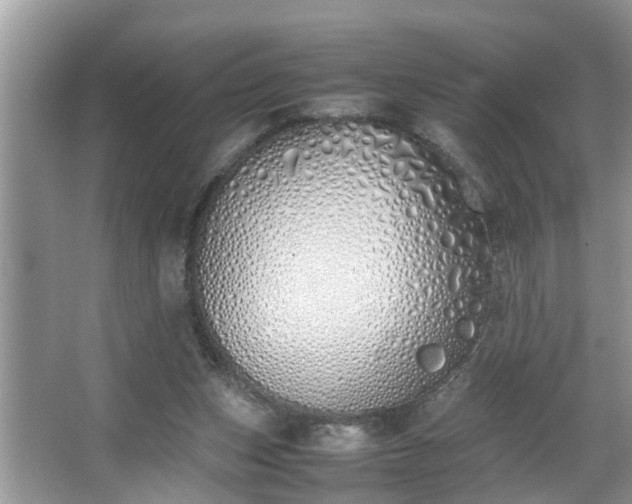 X0000067340159200604031008