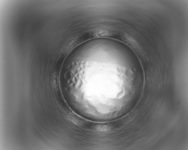 X0000067340169200604031008