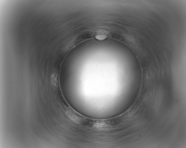 X0000067340177200604031008