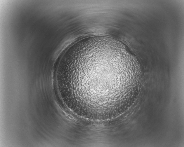 X0000067340194200604031008