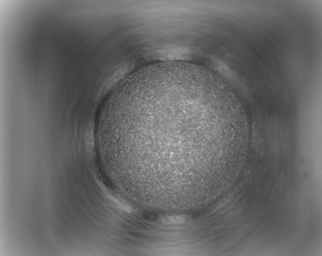 X0000067340202200604031008