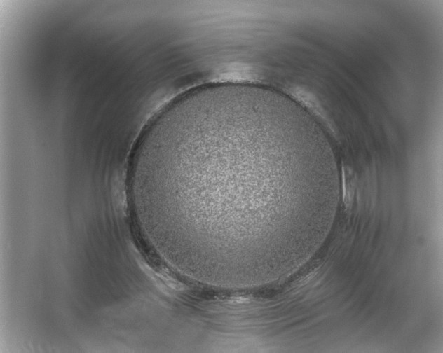 X0000067340204200604031008