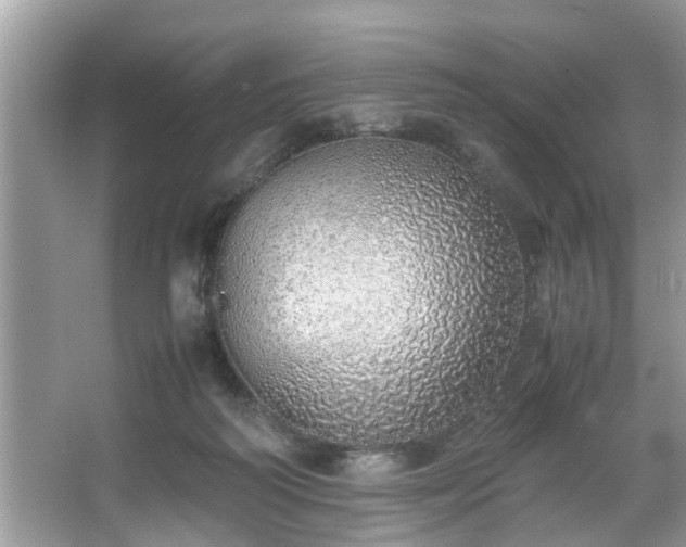 X0000067340218200604031007