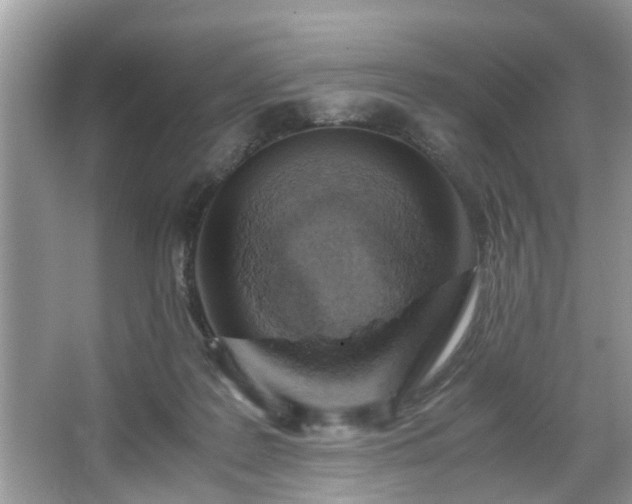 X0000067340219200604031007