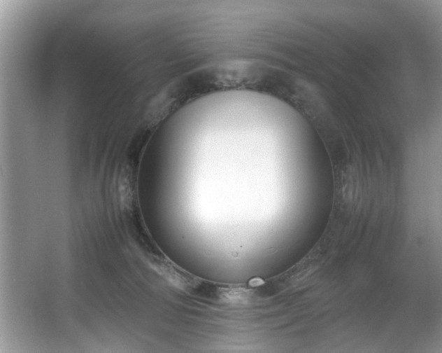 X0000067340226200604031007