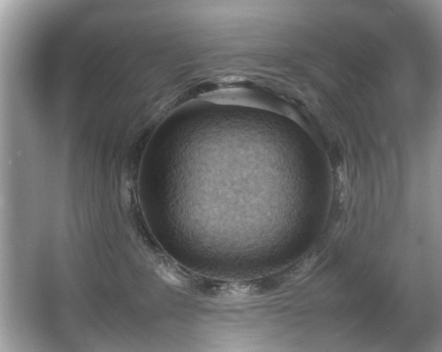 X0000067340235200604031007