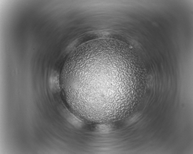 X0000067340238200604031007