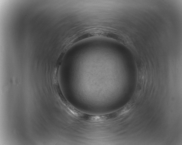X0000067340239200604031007