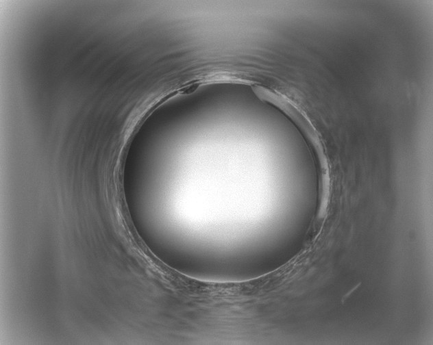 X0000067340289200604031006