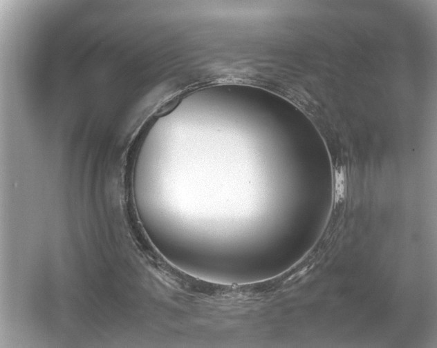 X0000067340291200604031006