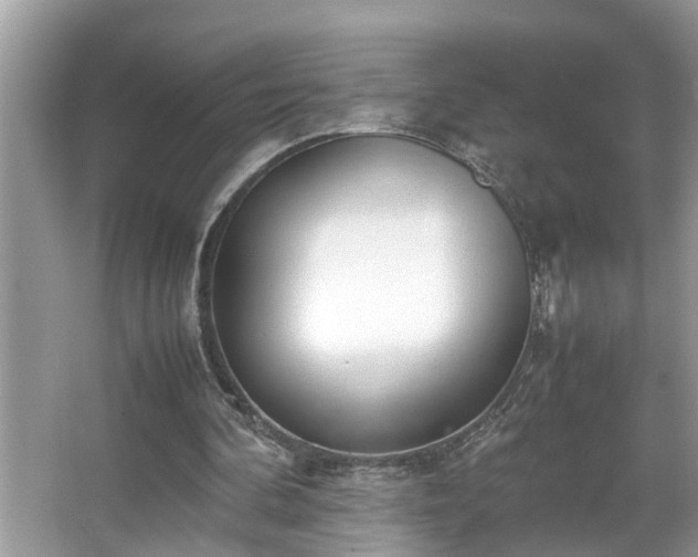 X0000067340292200604031006