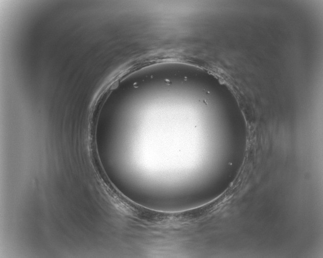 X0000067340293200604031006