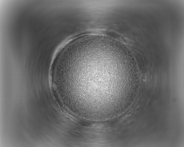 X0000067340294200604031006