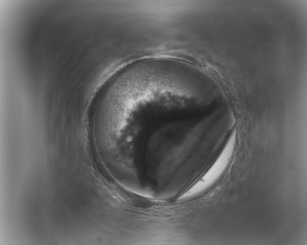 X0000067340295200604031006