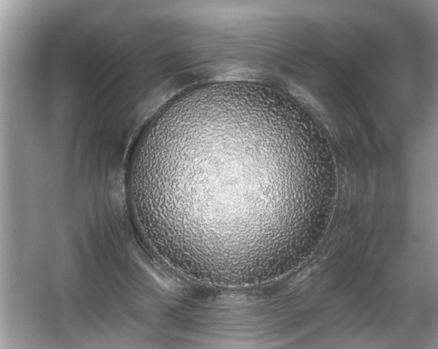 X0000067340298200604031006