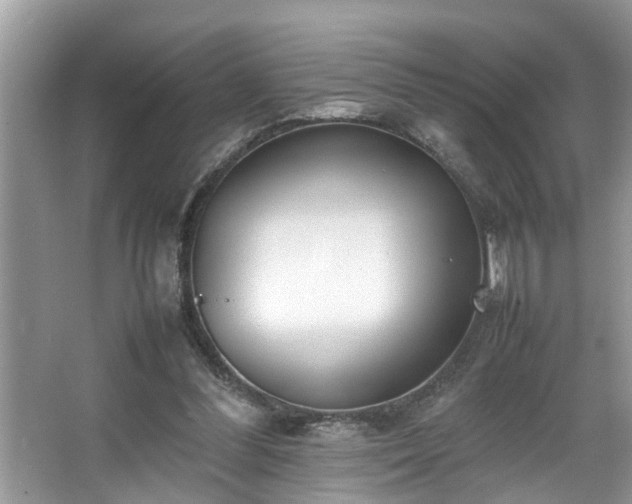 X0000067340300200604031006