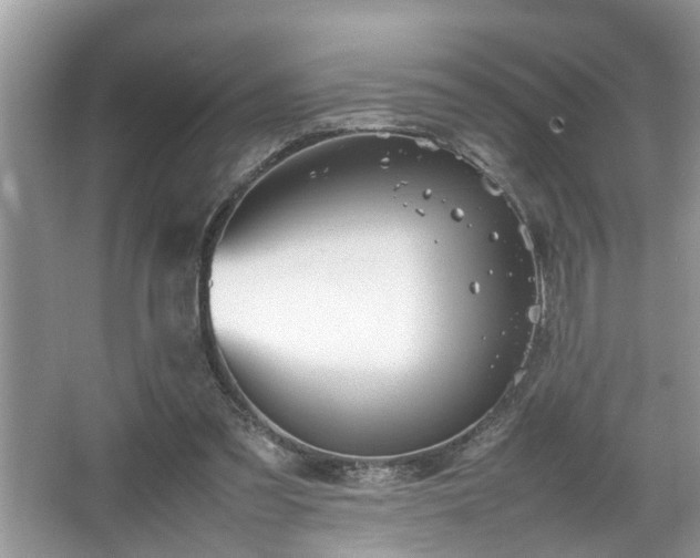 X0000067340301200604031006