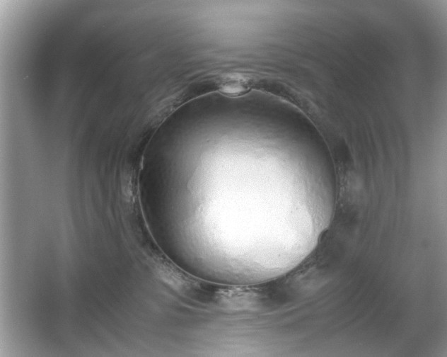 X0000067340331200604031006