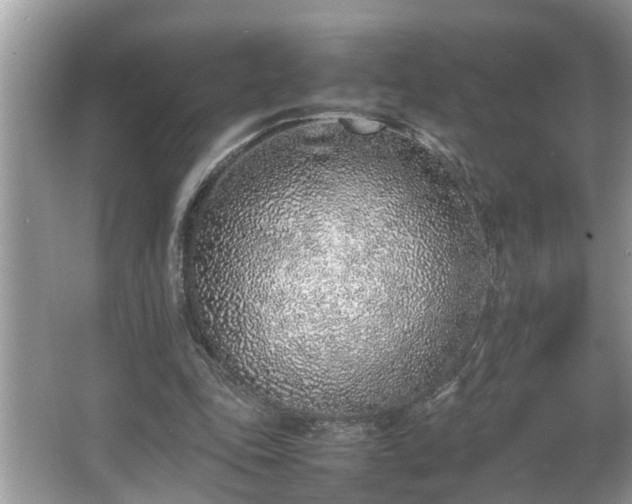X0000067340343200604031005