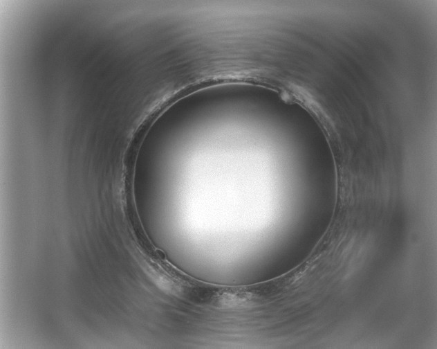 X0000067340346200604031005