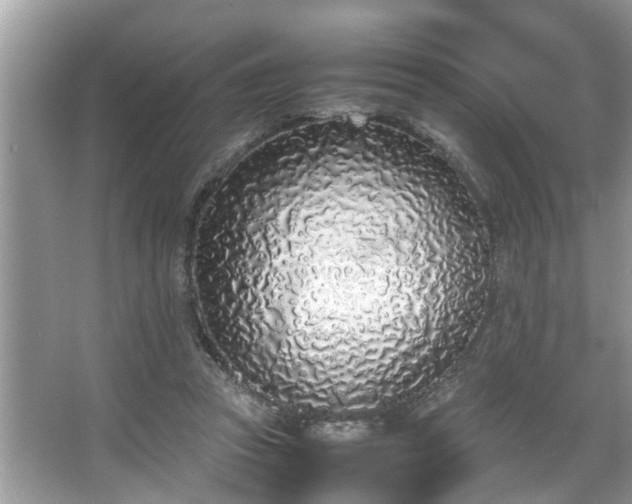 X0000067340353200604031005