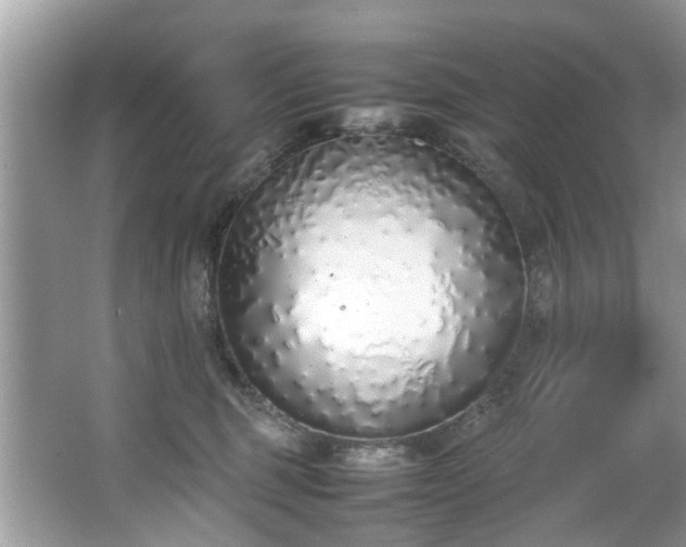 X0000067340375200604031005