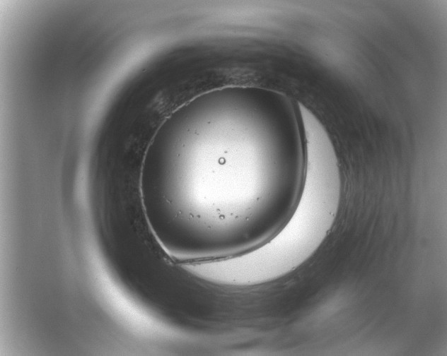 X0000067340383200604031005