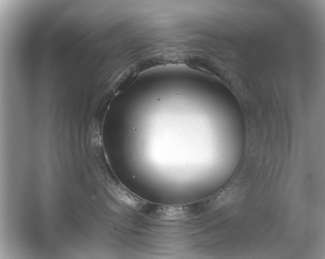 X0000067340384200604031005