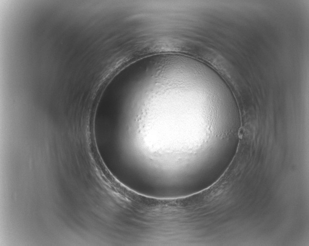 X0000067340386200604031005