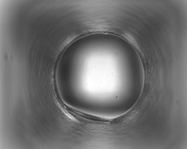 X0000067340389200604031005