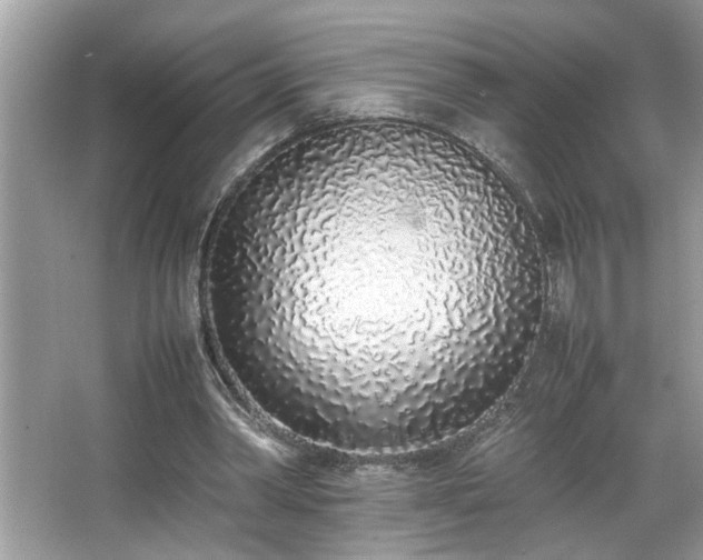 X0000067340390200604031005