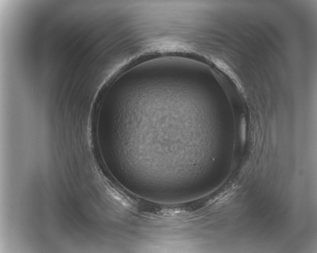 X0000067340391200604031005
