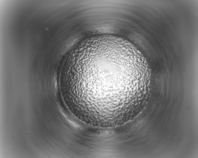 X0000067340398200604031004