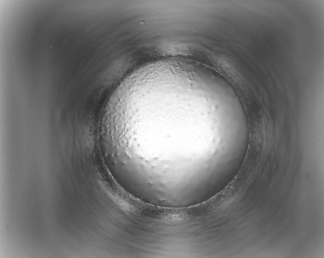 X0000067340402200604031004