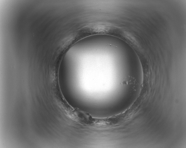 X0000067340407200604031004