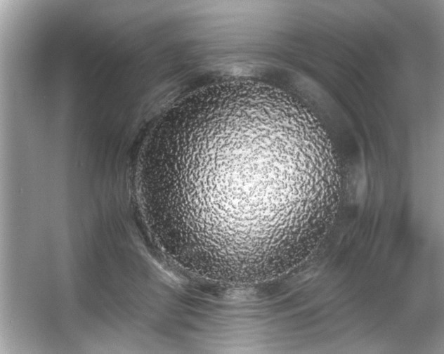X0000067340410200604031004